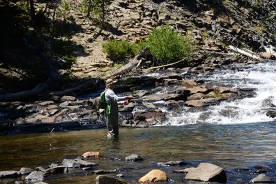 DSC_9922 (Large).JPG